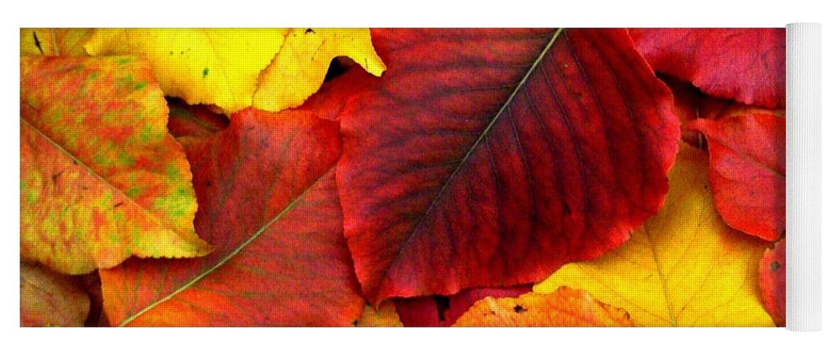 Colors Yoga Mat featuring the photograph Autumn Leaves by Sharon Woerner