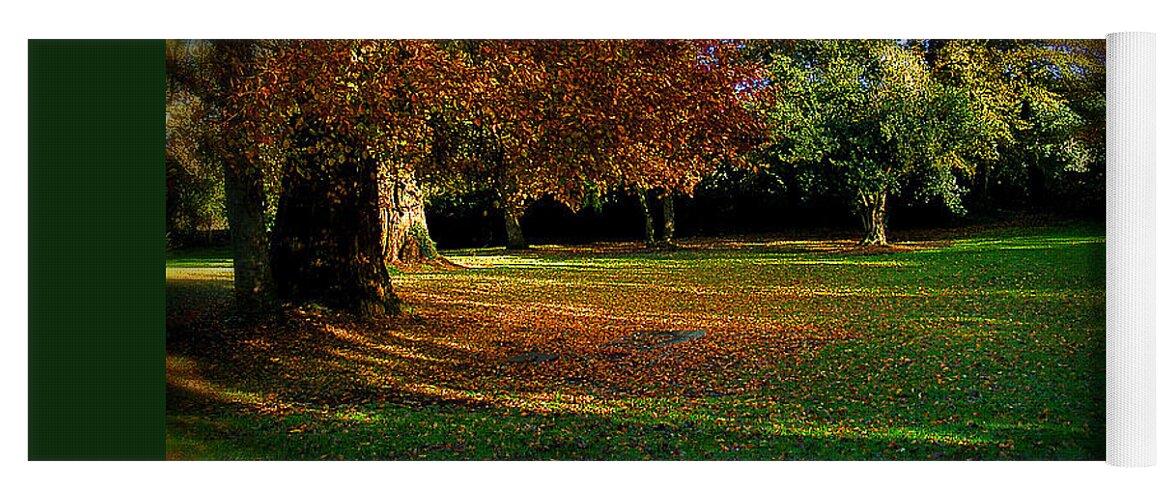 Autumn Yoga Mat featuring the photograph Autumn by Nina Ficur Feenan