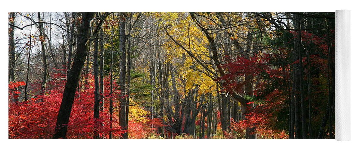 Autumn Yoga Mat featuring the photograph Autumn Paths  No.2 by Neal Eslinger