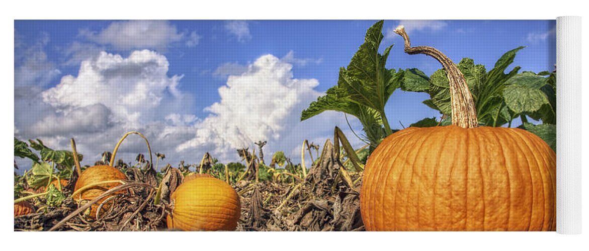 Pumpkin Yoga Mat featuring the photograph Autumn Pumpkin Patch - Fall - Halloween by Jason Politte