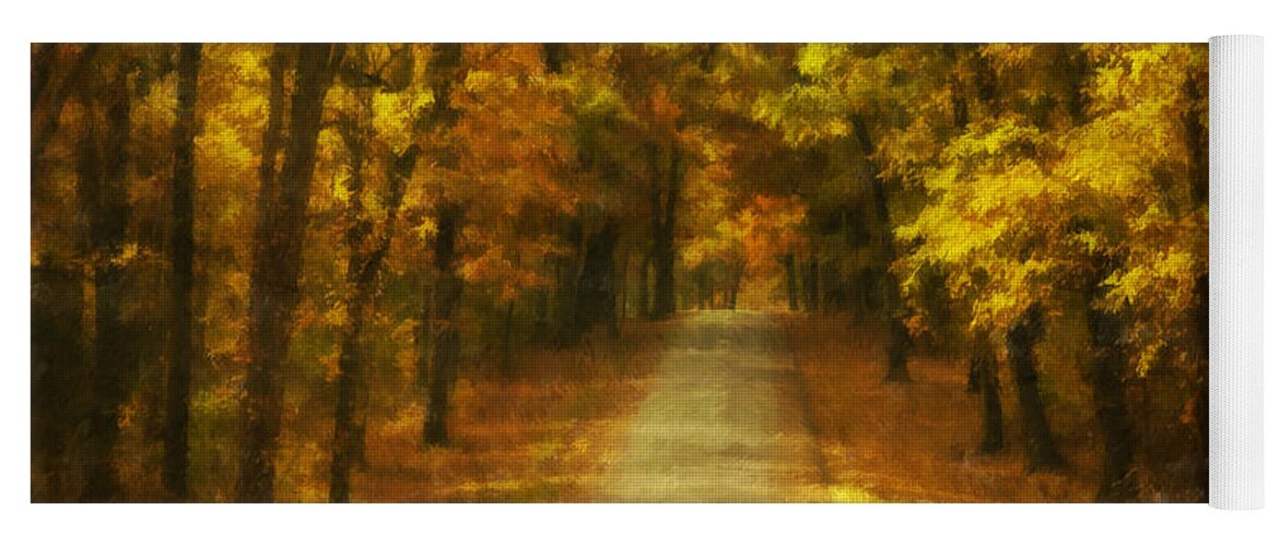 Autumn Yoga Mat featuring the photograph Autumn Road by Mick Burkey