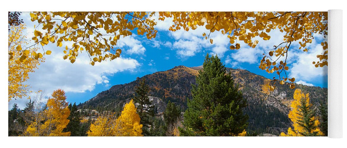 Colorado Yoga Mat featuring the photograph Autumn Scene Framed by Aspen by Cascade Colors