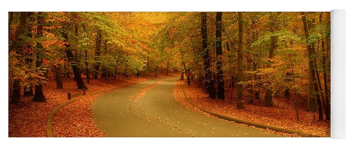 Autumn Landscapes Yoga Mat featuring the photograph Autumn Serenity - Holmdel Park by Angie Tirado