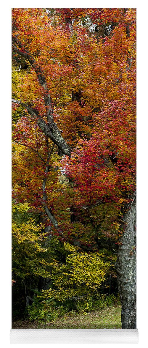 Autumn Splendor Yoga Mat featuring the photograph Autumn Splendor by Terry DeLuco