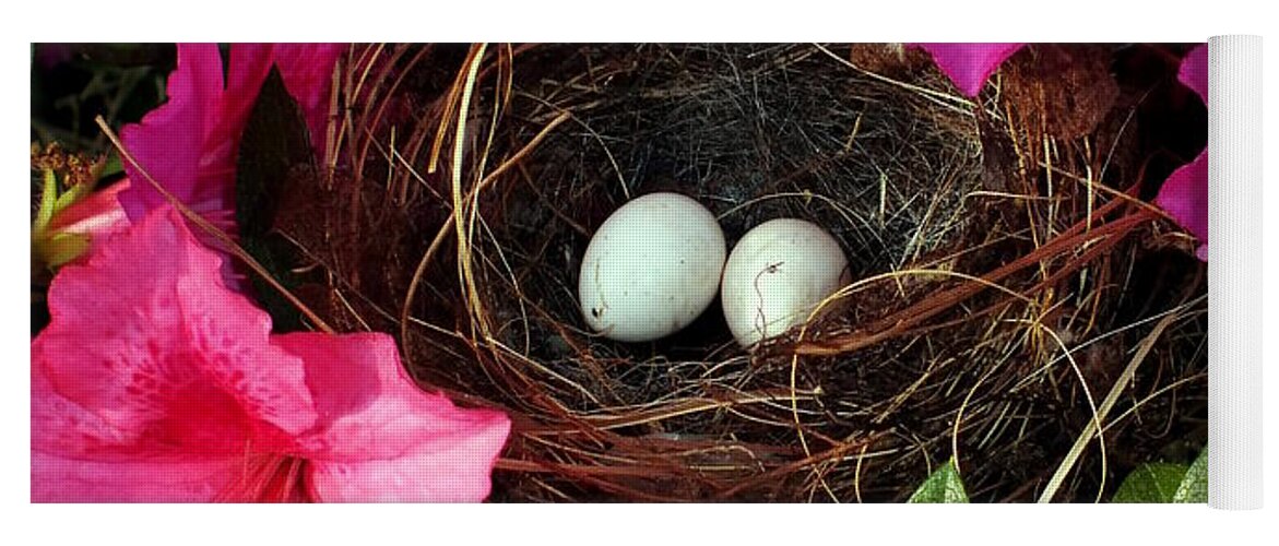 Bird Nests Yoga Mat featuring the photograph Azalea Surprise by Karen Wiles