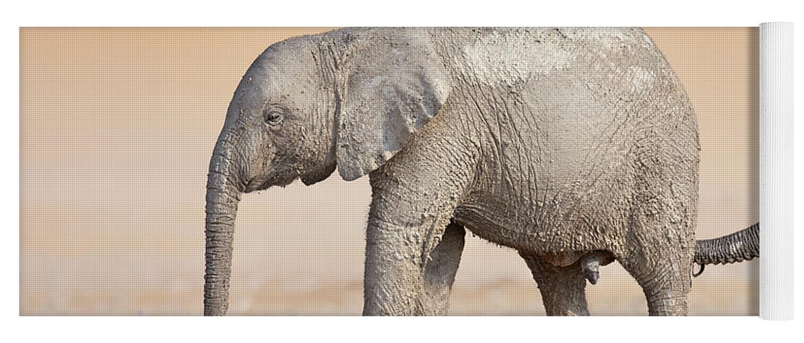 elephant yoga mat