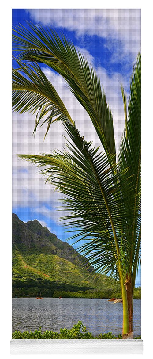 Palm Tree Koolau Mountains Yoga Mat featuring the photograph Baby Palm Tree in Front of the Koolau Mountains by Aloha Art