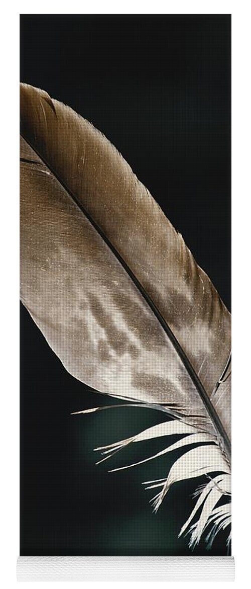 Accipitridae Yoga Mat featuring the photograph Bald Eagle Feather by Thomas And Pat Leeson