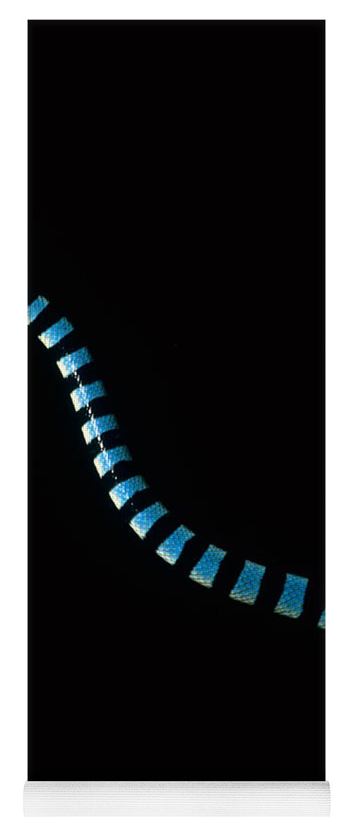 Banded Sea Snake Yoga Mat featuring the photograph Banded Sea Snake by Jeff Rotman