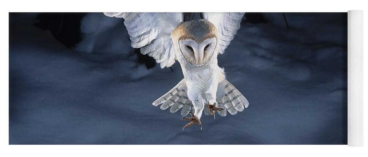 Bird Yoga Mat featuring the photograph Barn Owl Landing by Manfred Danegger