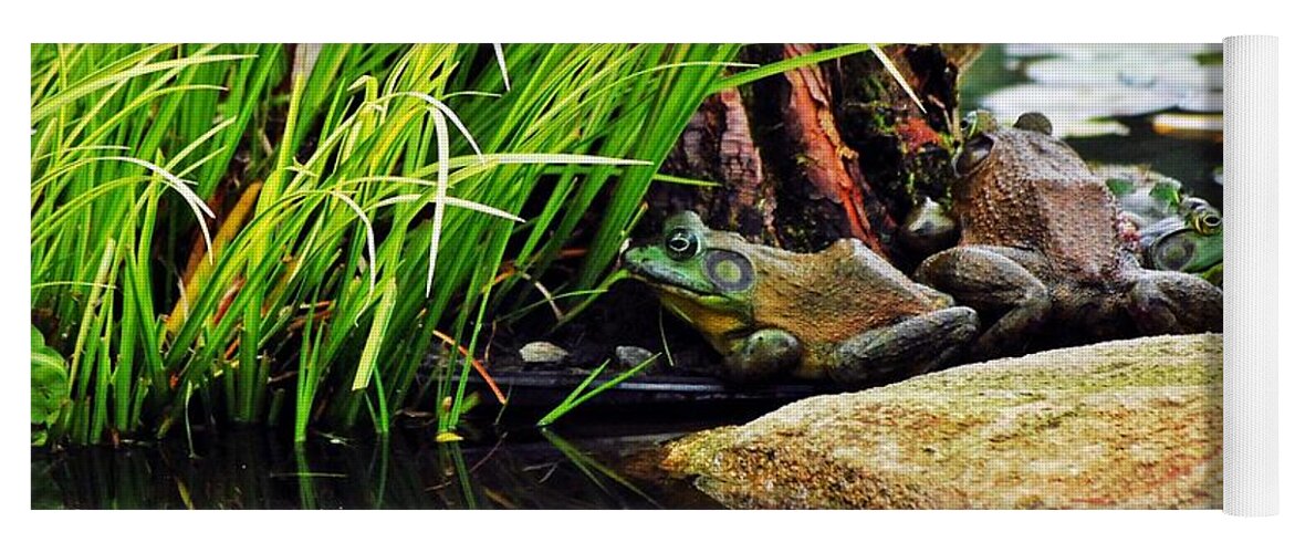 Colorful Yoga Mat featuring the photograph Basking Bullfrogs by Angela Murray