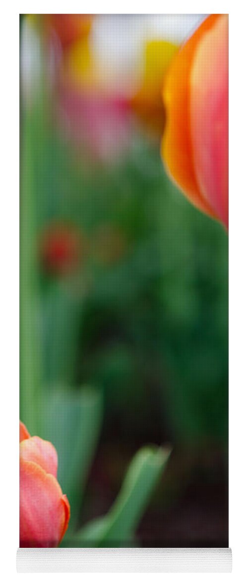 Tulip Yoga Mat featuring the photograph Be Like Mom by Kathy Paynter
