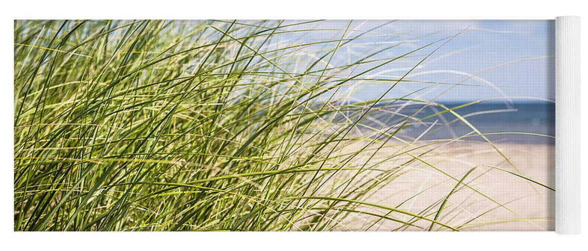 Convergeren Transparant Omgeving Beach grass Yoga Mat by Elena Elisseeva - Pixels Merch