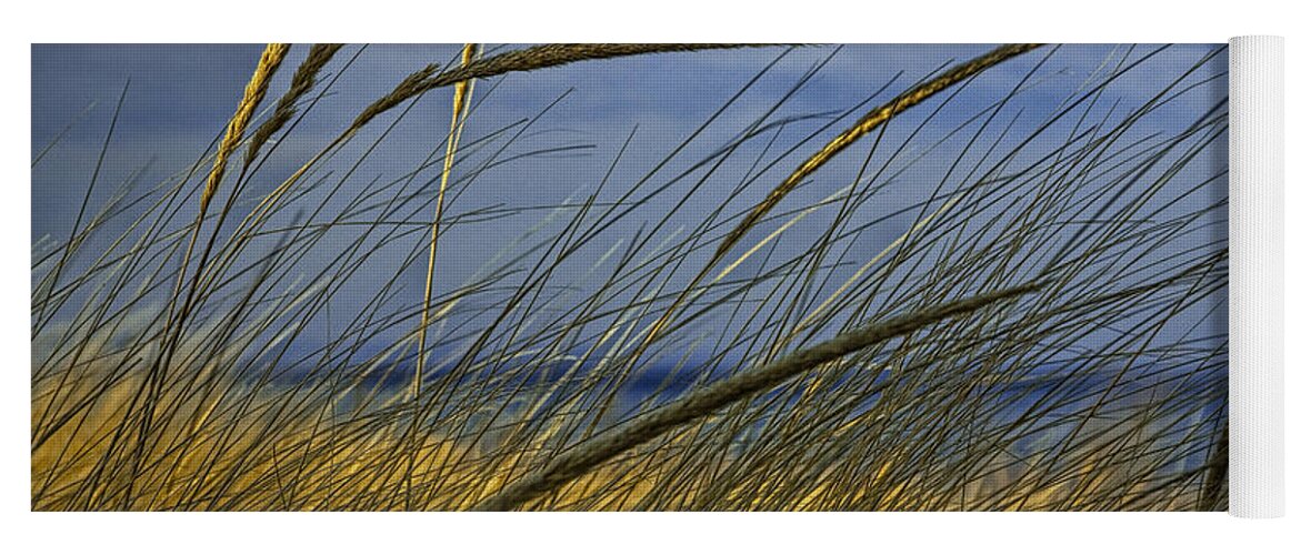 Art Yoga Mat featuring the photograph Beach Grass on a Sand Dune at Glen Arbor Michigan by Randall Nyhof