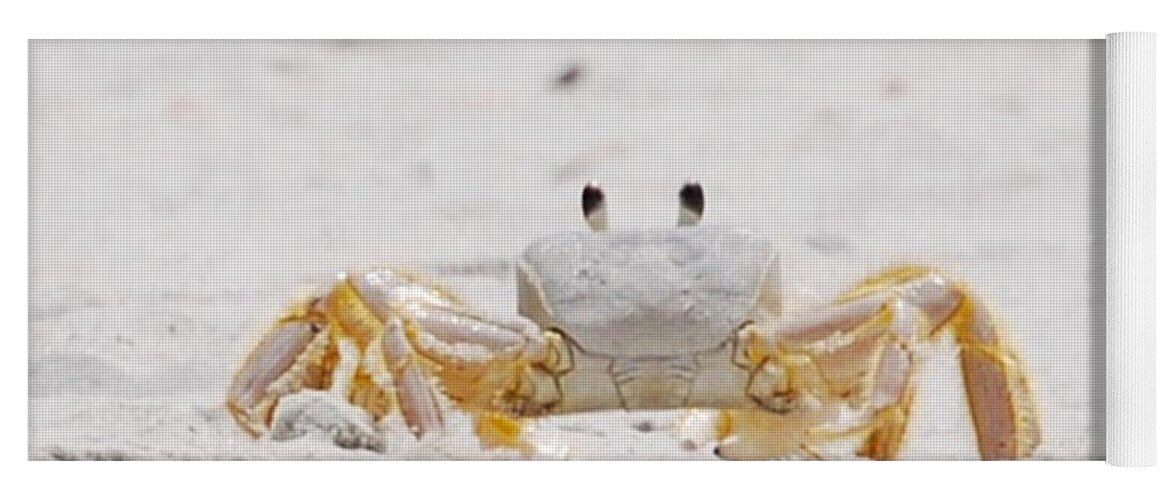 Crab Yoga Mat featuring the photograph Beach Guard by Judy Hall-Folde