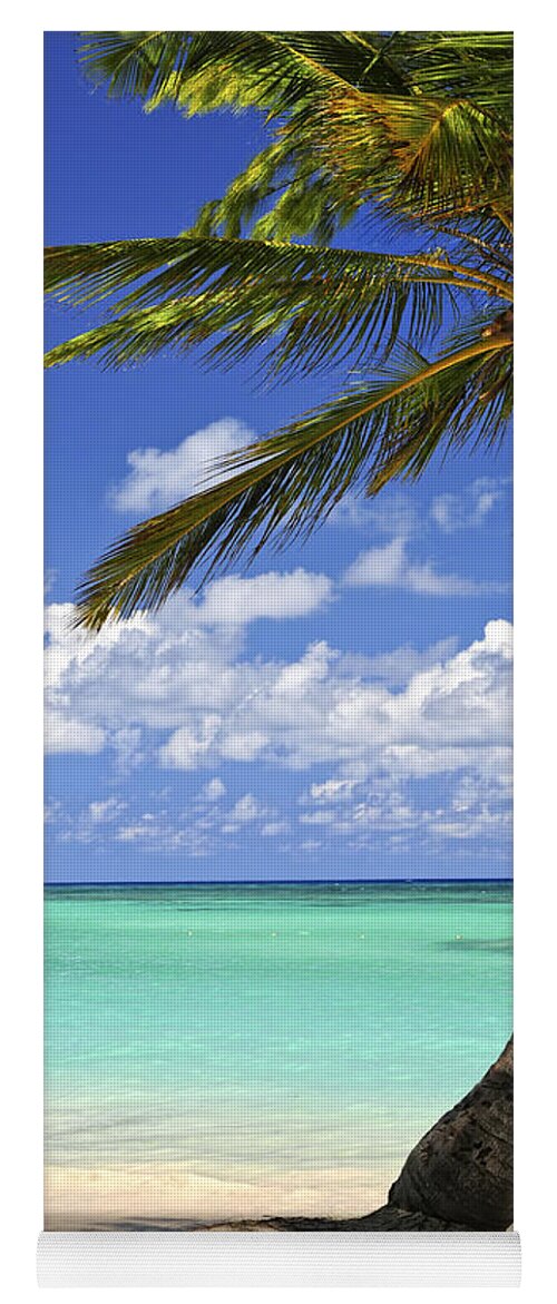 Beach Yoga Mat featuring the photograph Beach of a tropical island by Elena Elisseeva