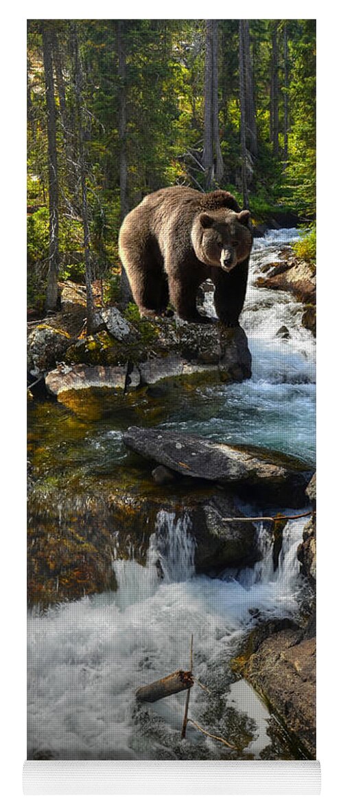 Grizzly Yoga Mat featuring the photograph Bear Necessity by Ken Smith