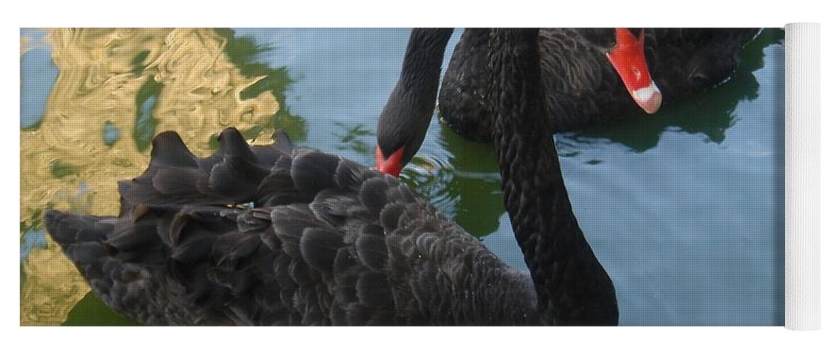 Black Swans Yoga Mat featuring the photograph Beautiful Black Swans by Carla Carson