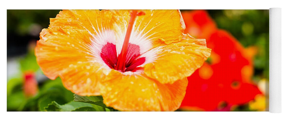 Beautiful Yoga Mat featuring the photograph Beautiful Hibiscus by Raul Rodriguez
