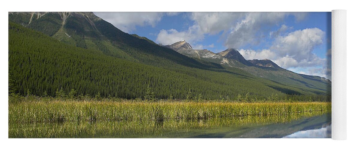 Feb0514 Yoga Mat featuring the photograph Beauty Creek Jasper Np Alberta Canada by Tim Fitzharris