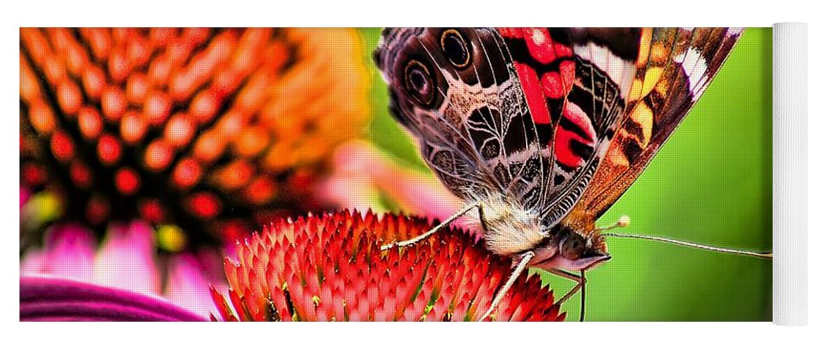 Animal Yoga Mat featuring the photograph Beauty of a Butterfly by Nick Zelinsky Jr