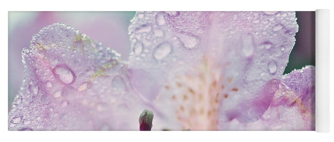 Petals Yoga Mat featuring the photograph Beauty of Rain by Kerri Farley