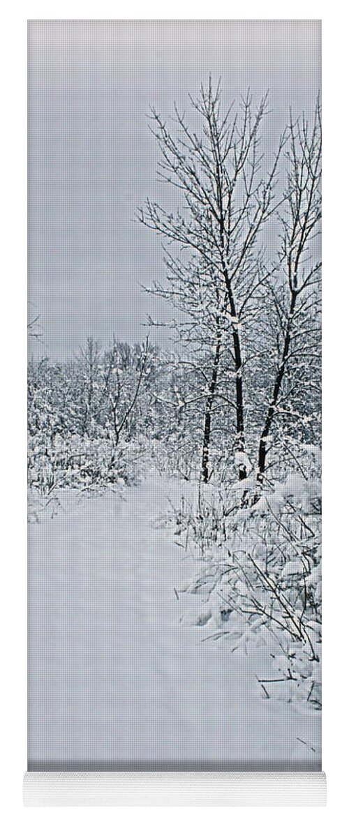 Winter Yoga Mat featuring the photograph Beauty Of Winter by Kay Novy