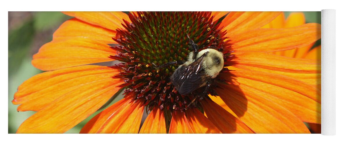 Bee On Flower Yoga Mat featuring the photograph Bee on Flower by John Telfer