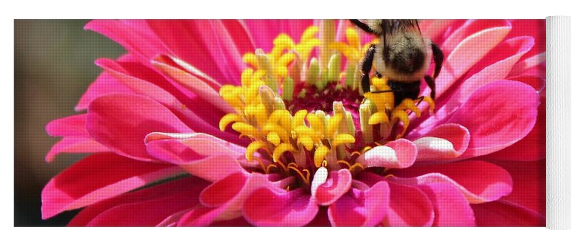 Zinnia Yoga Mat featuring the photograph Bee On Pink Flower by Cynthia Guinn