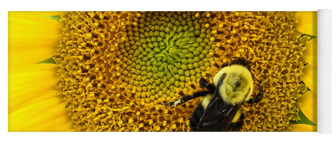 Yellow Yoga Mat featuring the photograph Bee on Sunflower by Photographic Arts And Design Studio