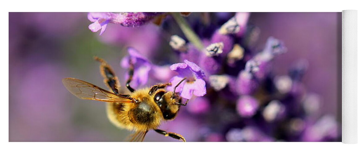 Bee Yoga Mat featuring the photograph Bee on the Lavender Branch by Amanda Mohler