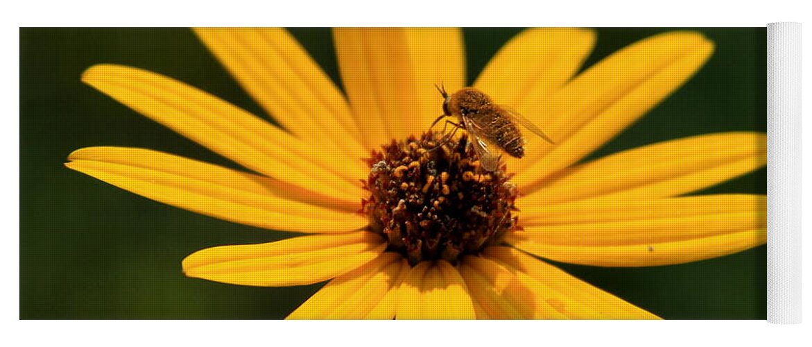 Flower Yoga Mat featuring the photograph Bee Too Close by Reid Callaway
