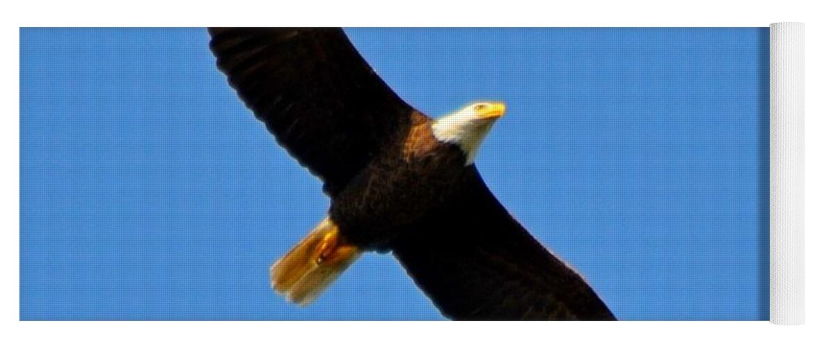 American Bald Eagle Yoga Mat featuring the photograph Best Bald Eagle on Blue by Jeff at JSJ Photography