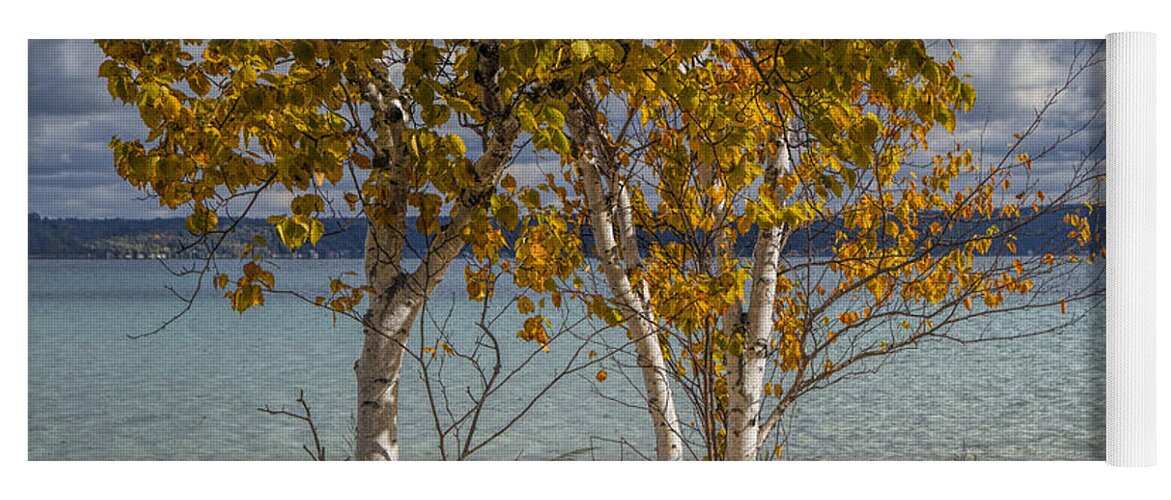 Art Yoga Mat featuring the photograph Birch Trees along the shore of Crystal Lake by Randall Nyhof