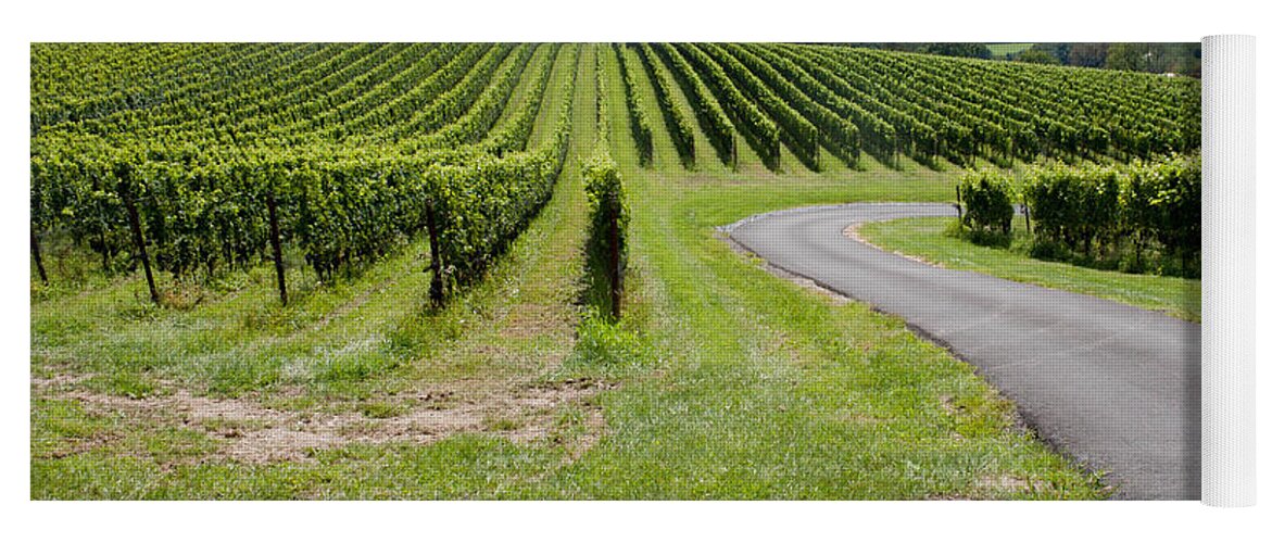 Landscape Yoga Mat featuring the photograph Maryland Vinyard in August by Thomas Marchessault