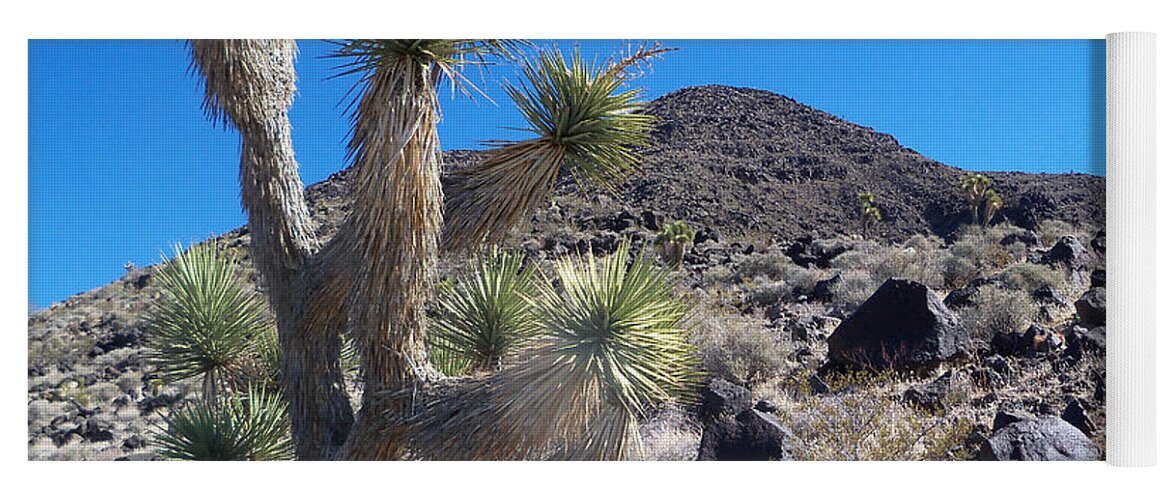Landscape Yoga Mat featuring the photograph Black Mountain Yucca by Alan Socolik