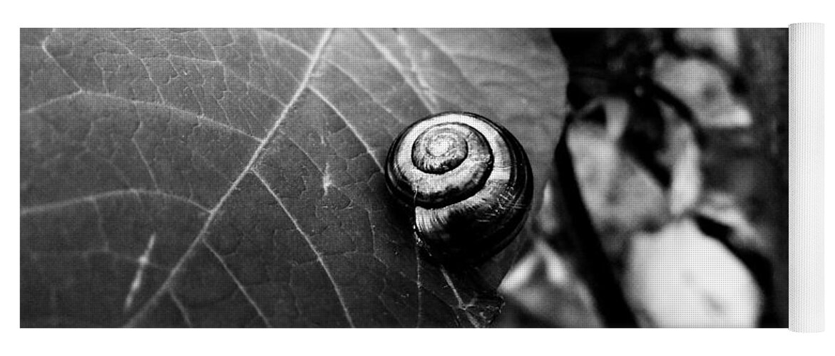 Snail Yoga Mat featuring the photograph Black Swirl by Zinvolle Art