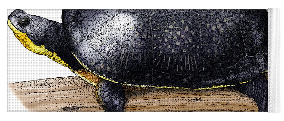 Art Yoga Mat featuring the photograph Blandings Turtle by Roger Hall
