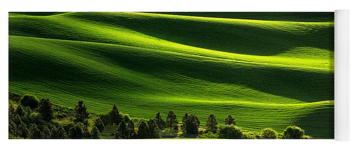 Palouse Yoga Mat featuring the photograph Blanketed in Green by Todd Klassy