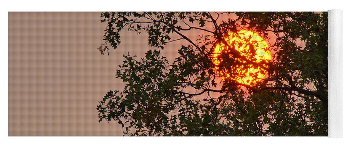 Blazing Yoga Mat featuring the photograph Blazing Sun Hiding Behind A Tree by Mick Anderson