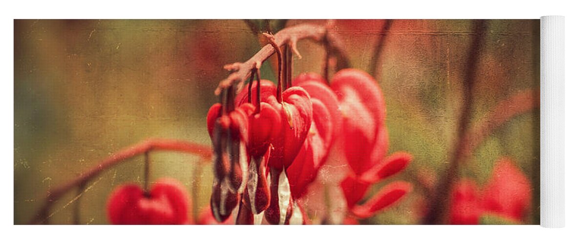 Love Yoga Mat featuring the photograph Bleeding Hearts by Spikey Mouse Photography