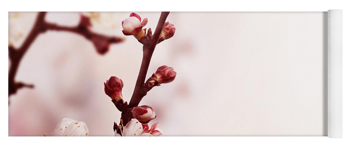 Blossom Yoga Mat featuring the photograph Blossom Flower by Jelena Jovanovic