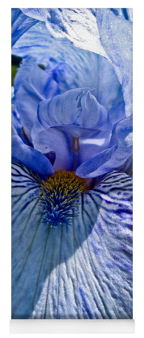 Flower Photographs Yoga Mat featuring the photograph Blue Bearded Iris by Joann Copeland-Paul