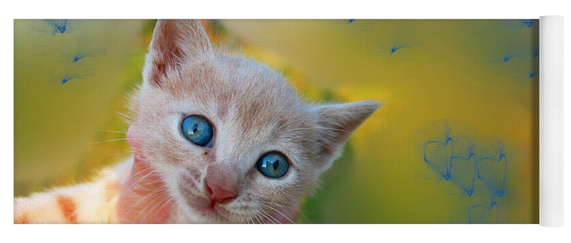 Augusta Stylianou Yoga Mat featuring the photograph Blue Eyes Kitten by Augusta Stylianou
