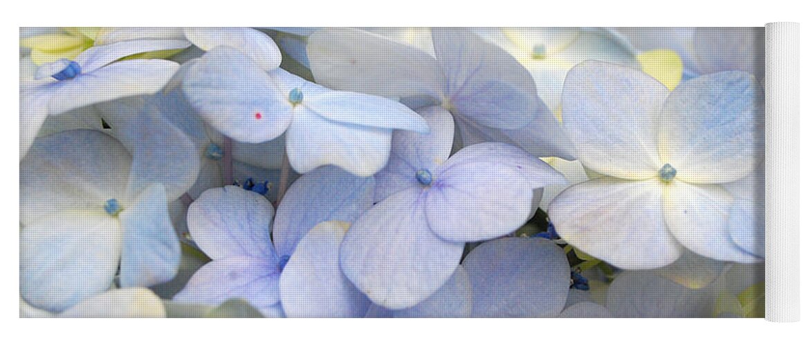 Flower Yoga Mat featuring the photograph Blue Hydrangea Flowers by Amy Fose