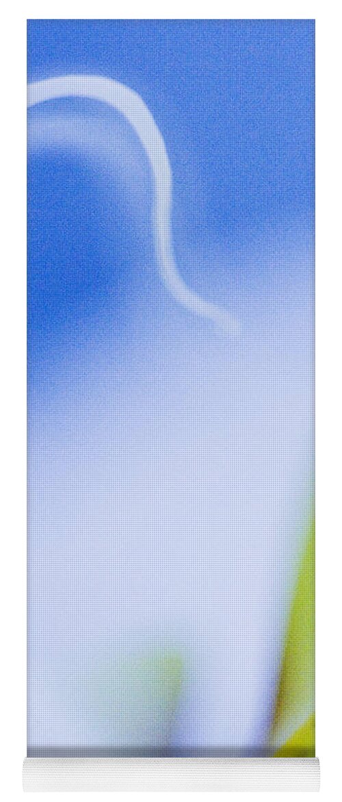 Orchid Yoga Mat featuring the photograph Blue Orchid Abstract by Bradley R Youngberg