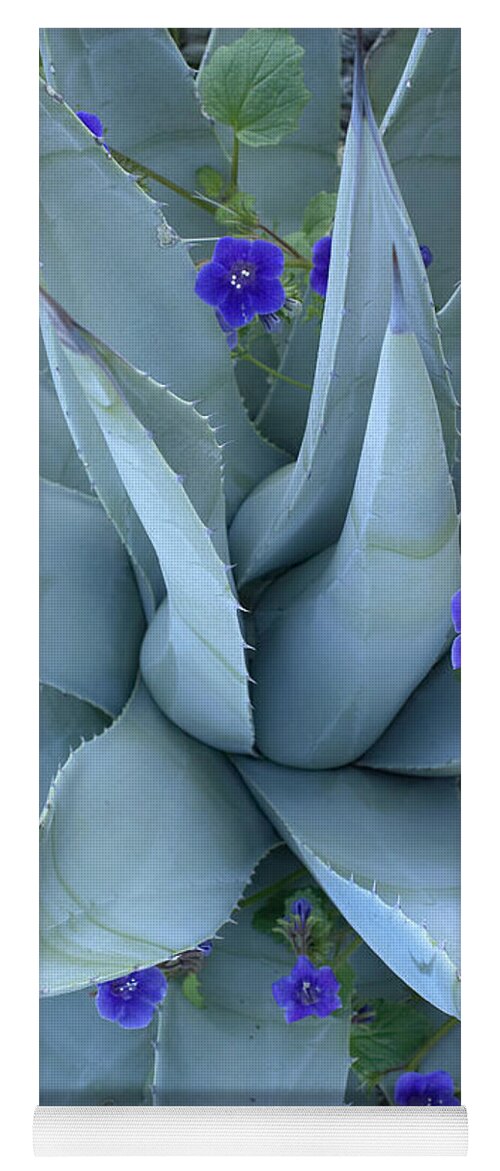 Feb0514 Yoga Mat featuring the photograph Bluebell And Agave North America by Tim Fitzharris