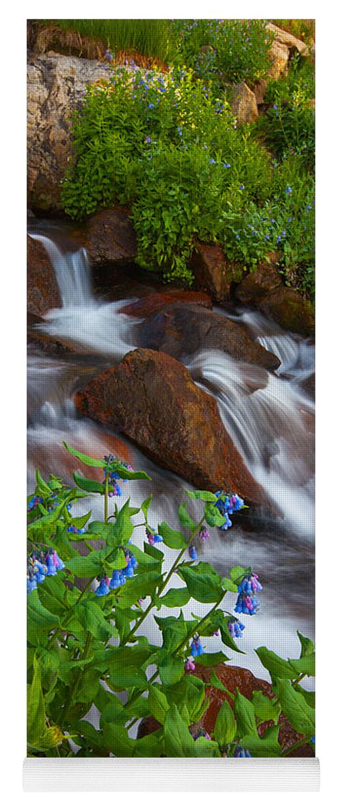 Stream Yoga Mat featuring the photograph Bluebell Creek by Darren White