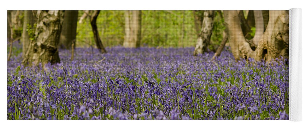 Forest Yoga Mat featuring the photograph Bluebell Woods by Spikey Mouse Photography