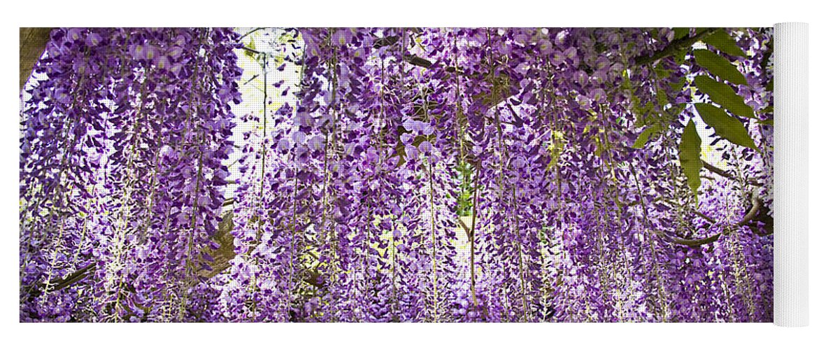 Nature Yoga Mat featuring the photograph Bluerain Blossom by Heiko Koehrer-Wagner